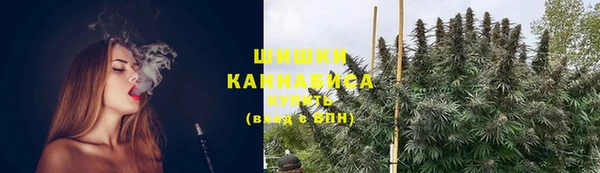 трава Армянск