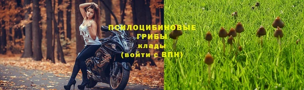 трава Армянск